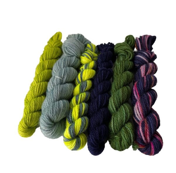 il_fullxfull.5544406521_6hl7.Jpg Dorset Horn Aran Weight Mini-Skein Gift Set