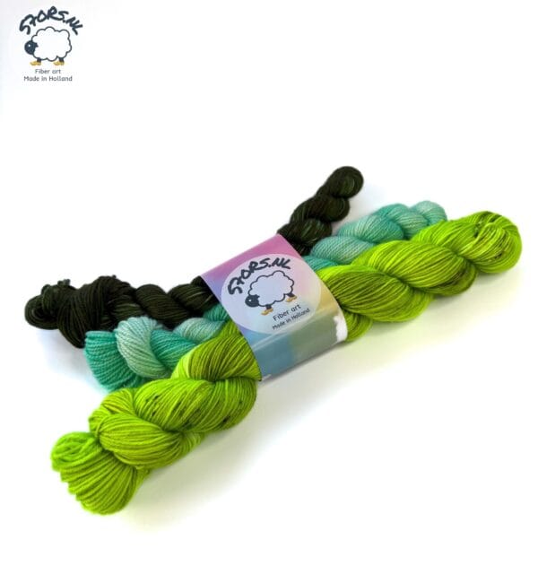 Hand dyed superwash superfine Merino and nylon fingering weight yarn sock set. ‘La fée verte’