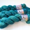 Handgeverfd superwash Merino/nylon garen "Pauw 2"