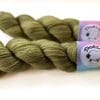 Lichen - Semi-Solid Hand-Dyed Merino Yarn in Moss Green