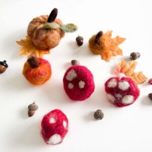 Floortje's Felting Kit - Autumn Edition (Mushroom & Pumpkin)