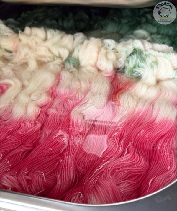 5F017F1E-5A17-4071-8934-21060466DC10 Mini skein set sock yarn 'Sushi Box' 100g handgeverfd garen